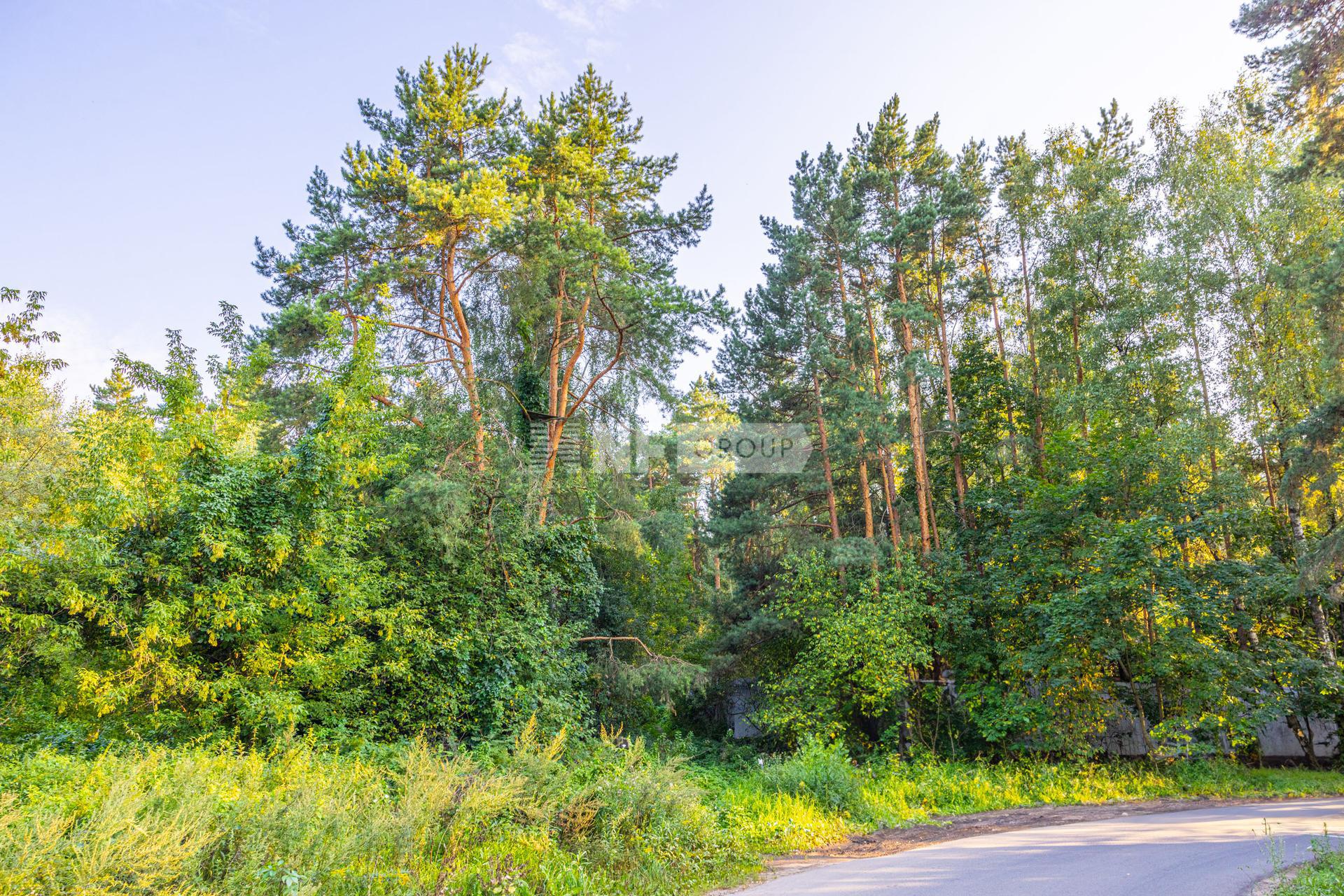 «Троице-Лыково» (Troitse-Lykovo)