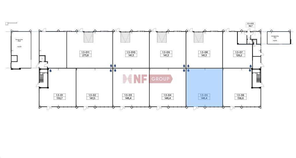 NF Group