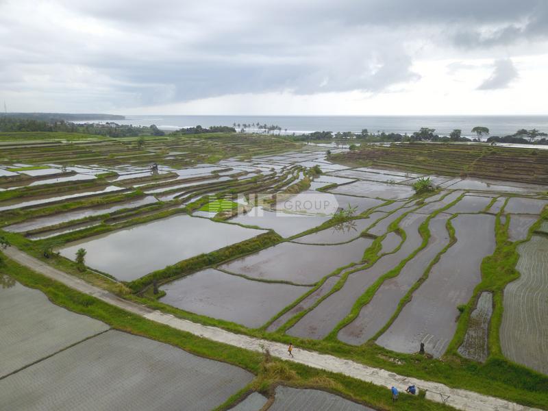 Breathtaking Beachfront Medewi Land
