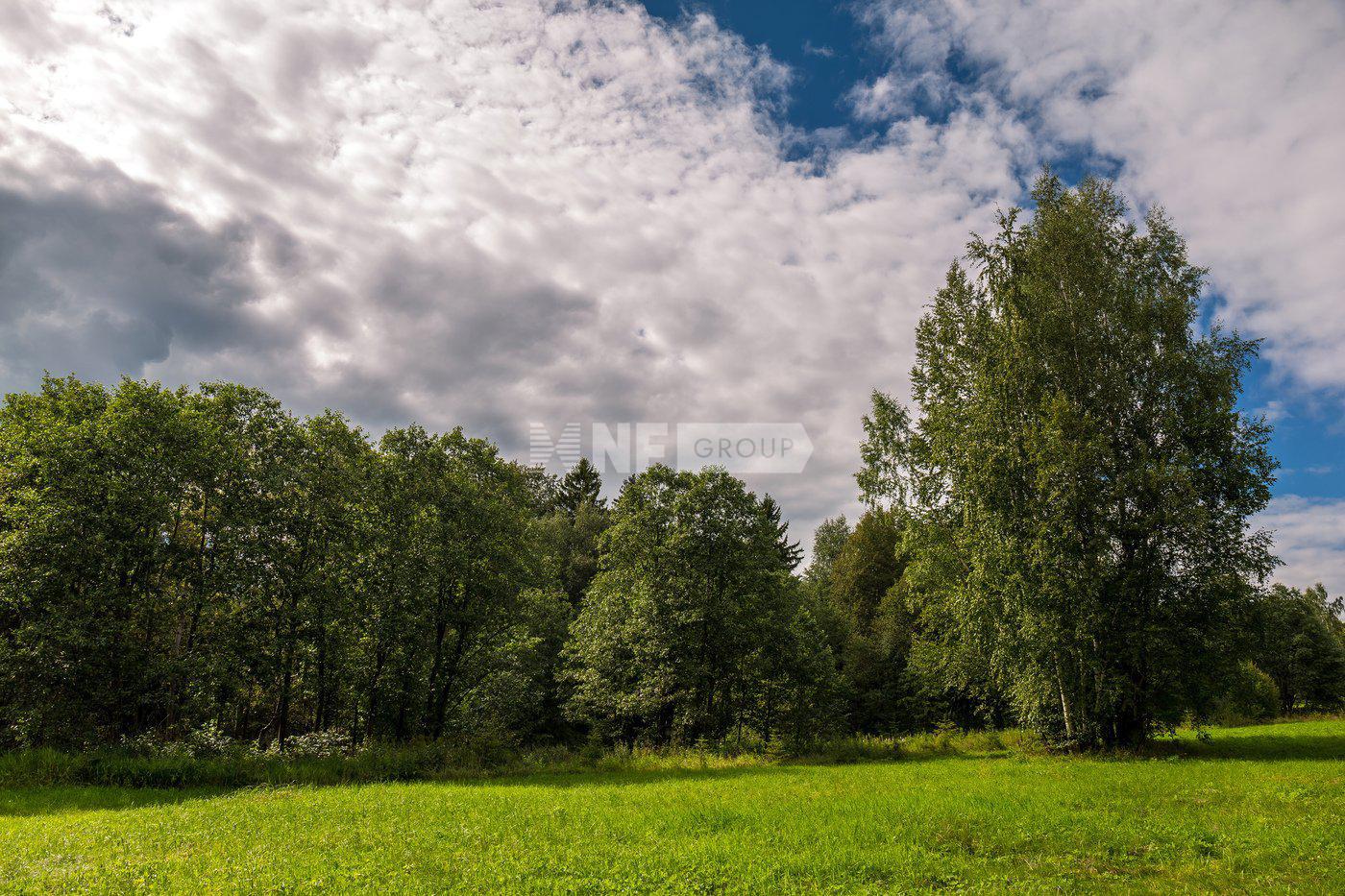 «Ромашково-21» (Romashkovo XXI)