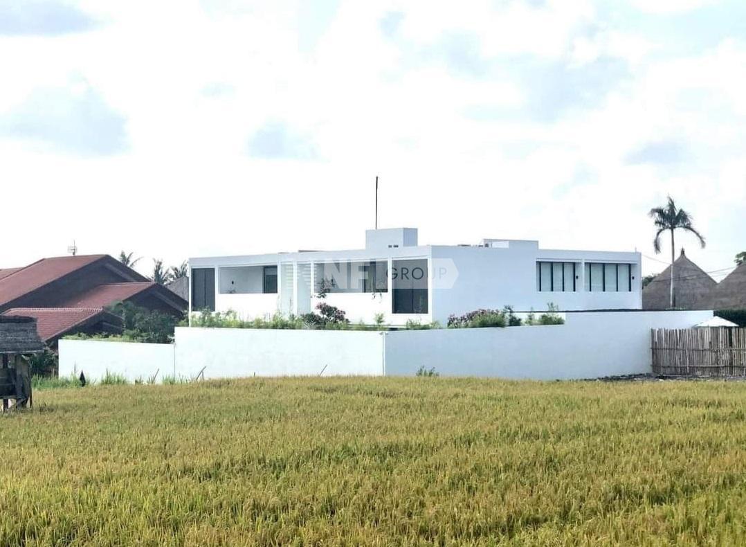 Ultra Chic With Clean Lines – Umalas Villa