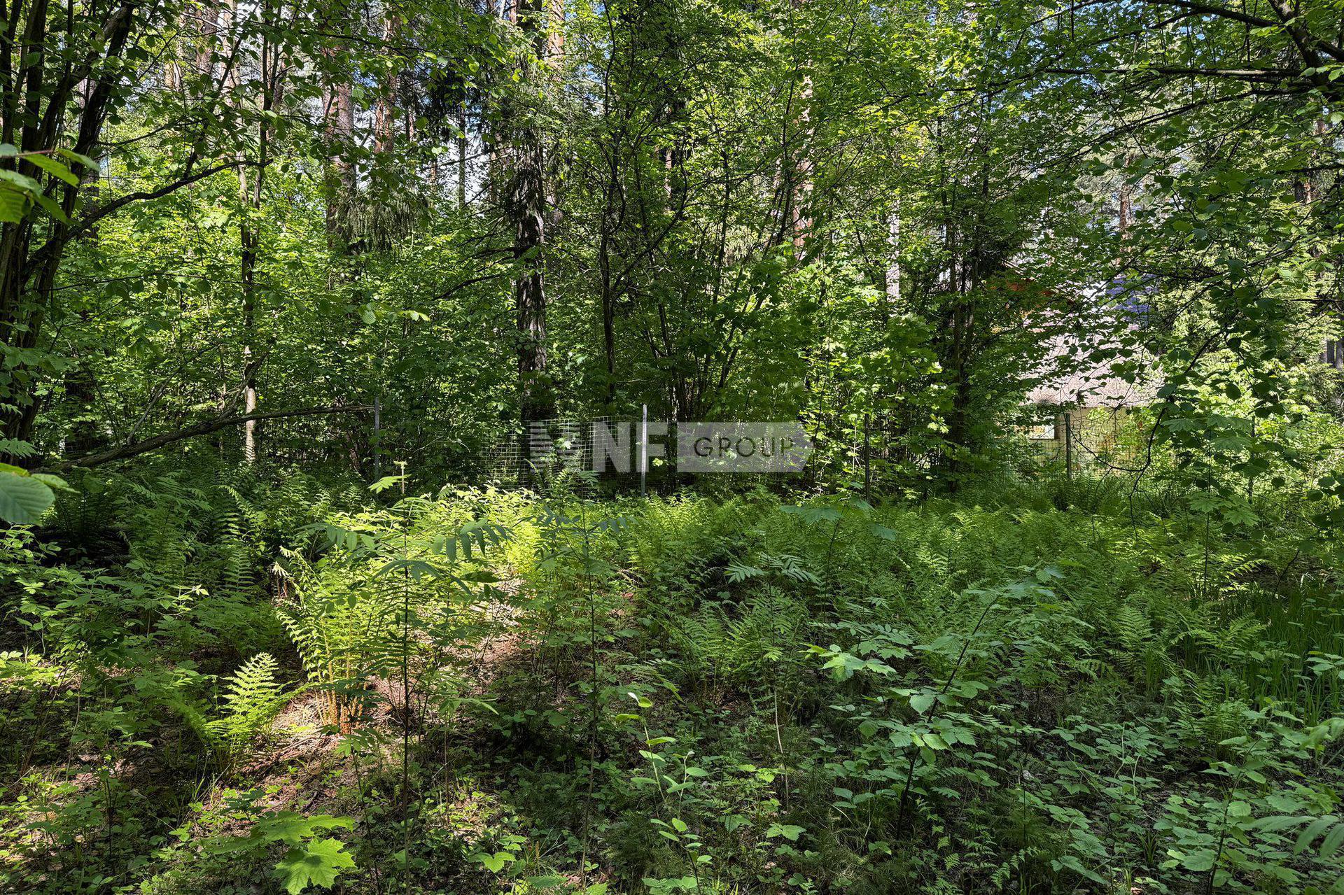 «Успенские Дачи» (Uspenskie Dachi)