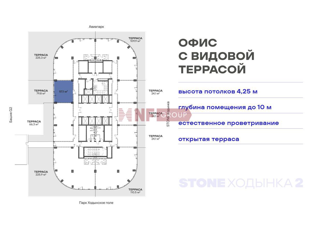 NF Group