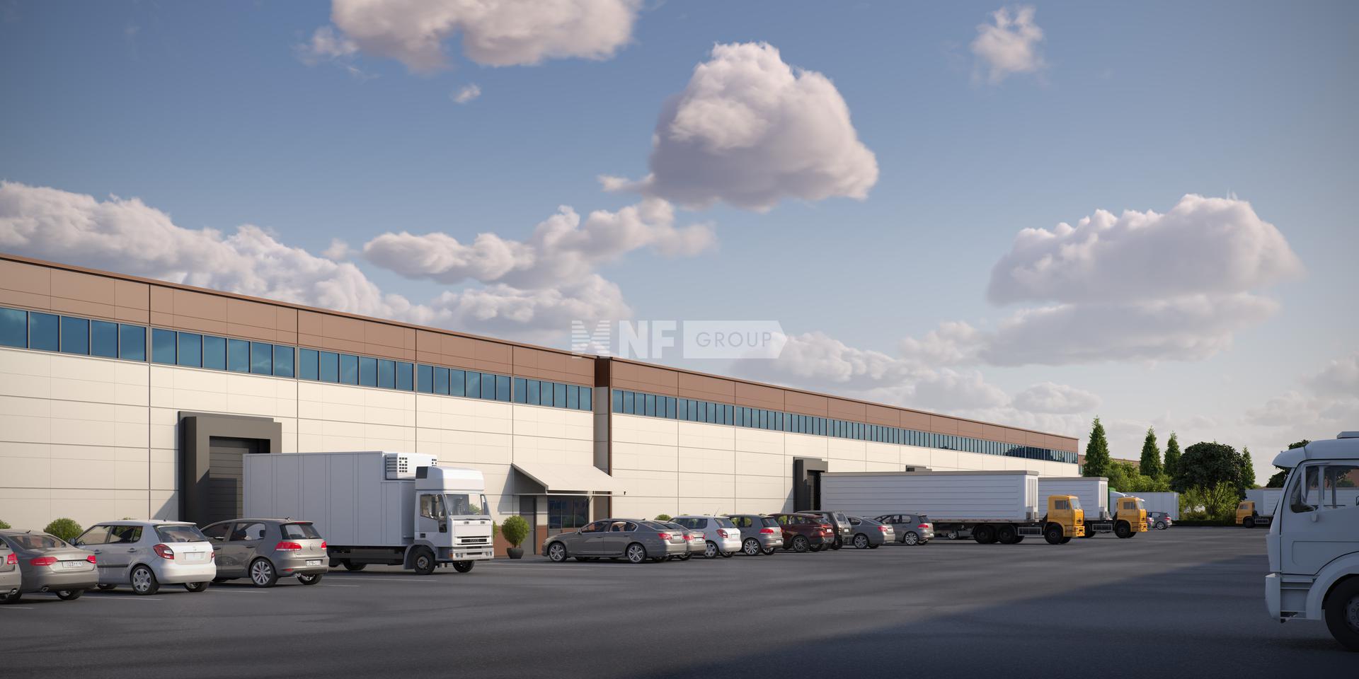 NF Group