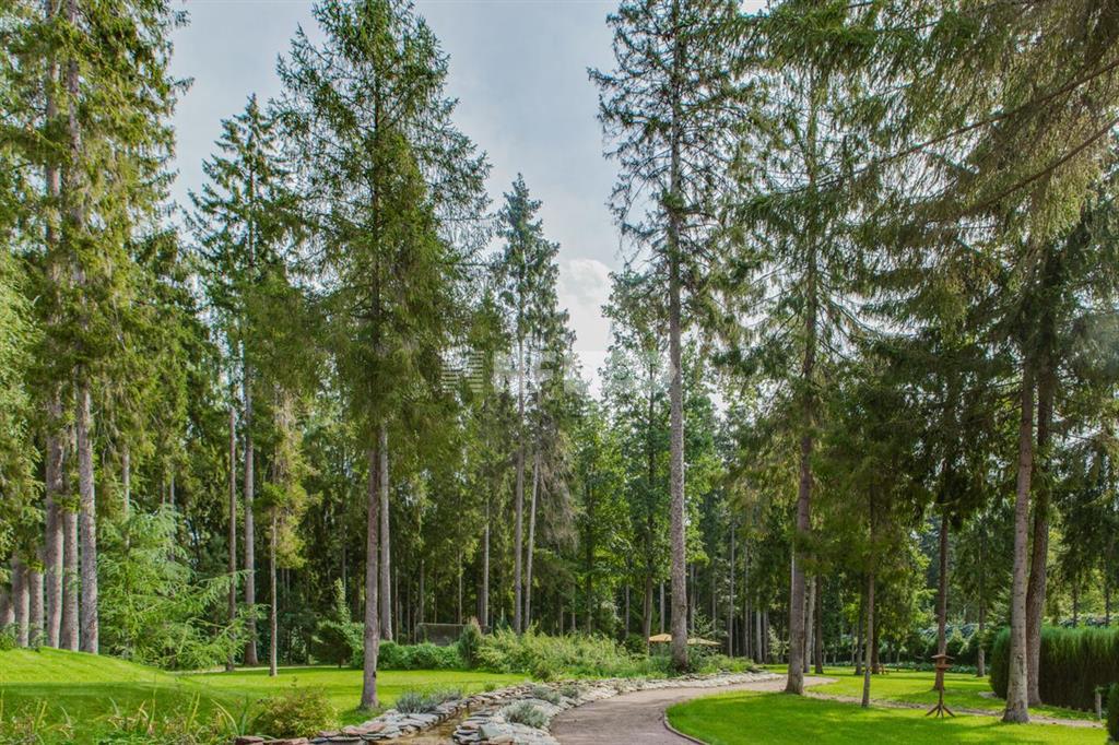 «Успенский лес» (Uspenskiy les)