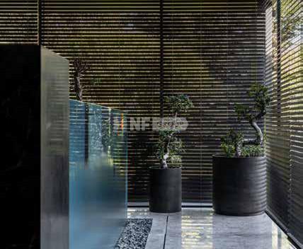 NF Group