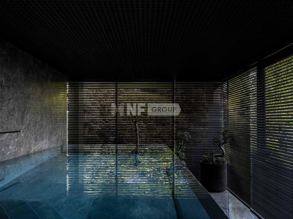 NF Group