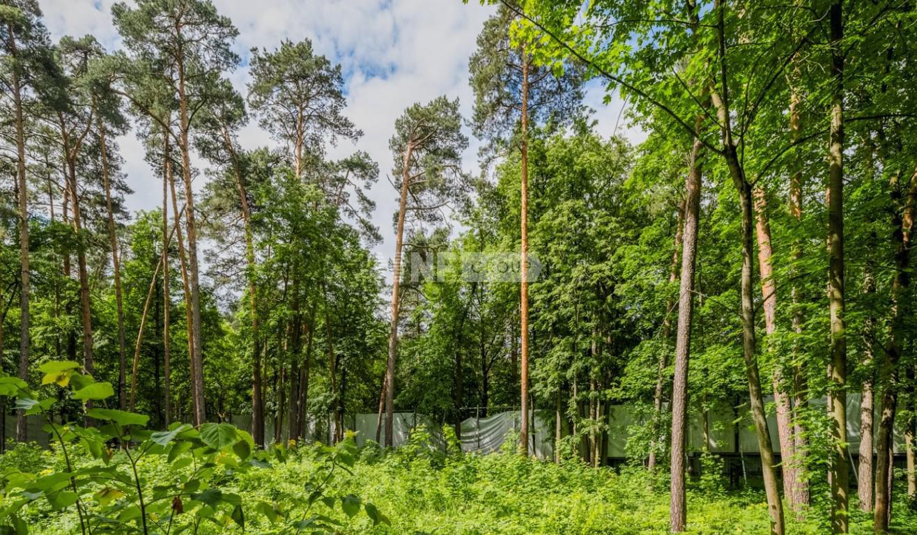 «Серебряный бор» (Serebryanyy bor)