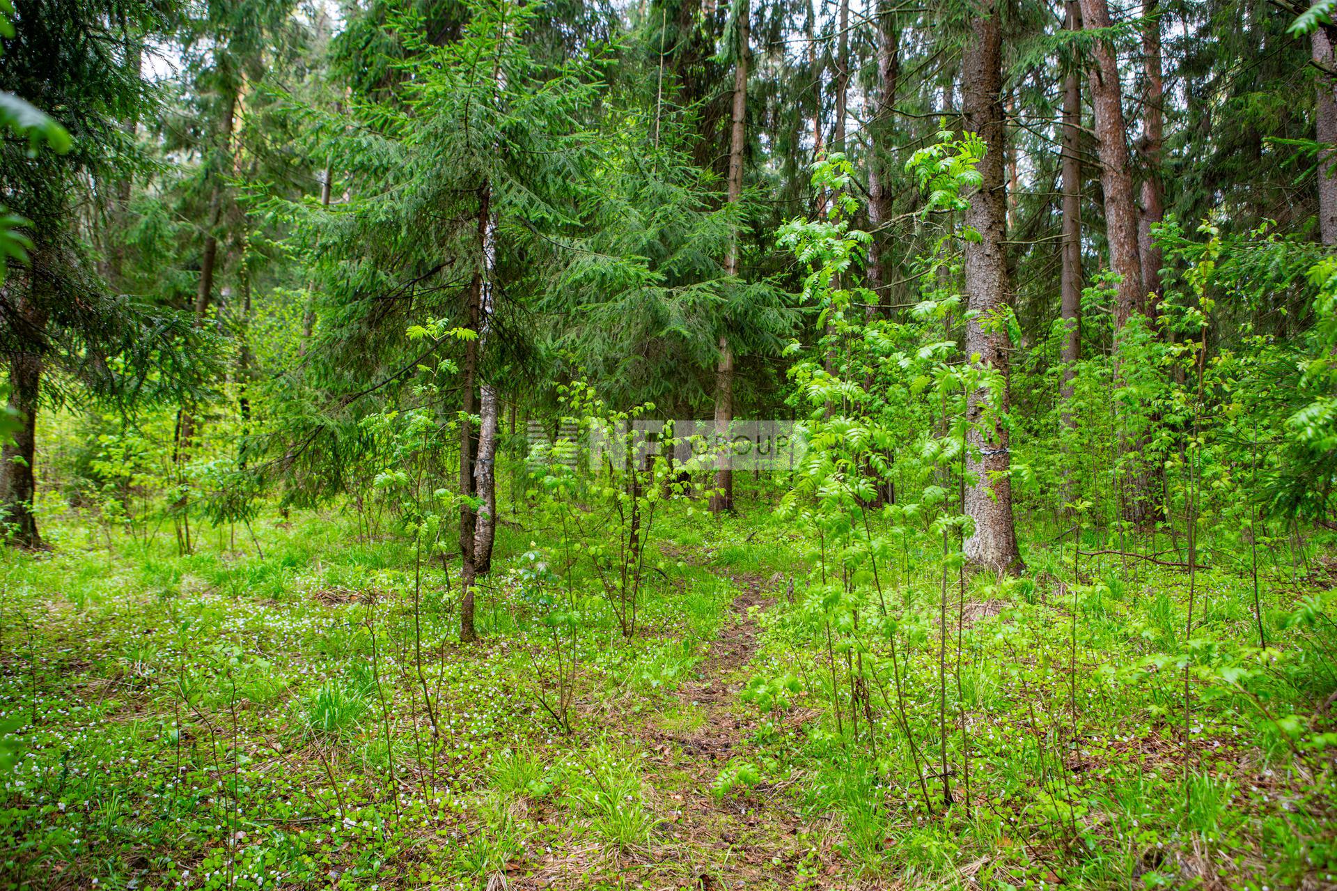 «Ренессанс парк» (Renessans park)