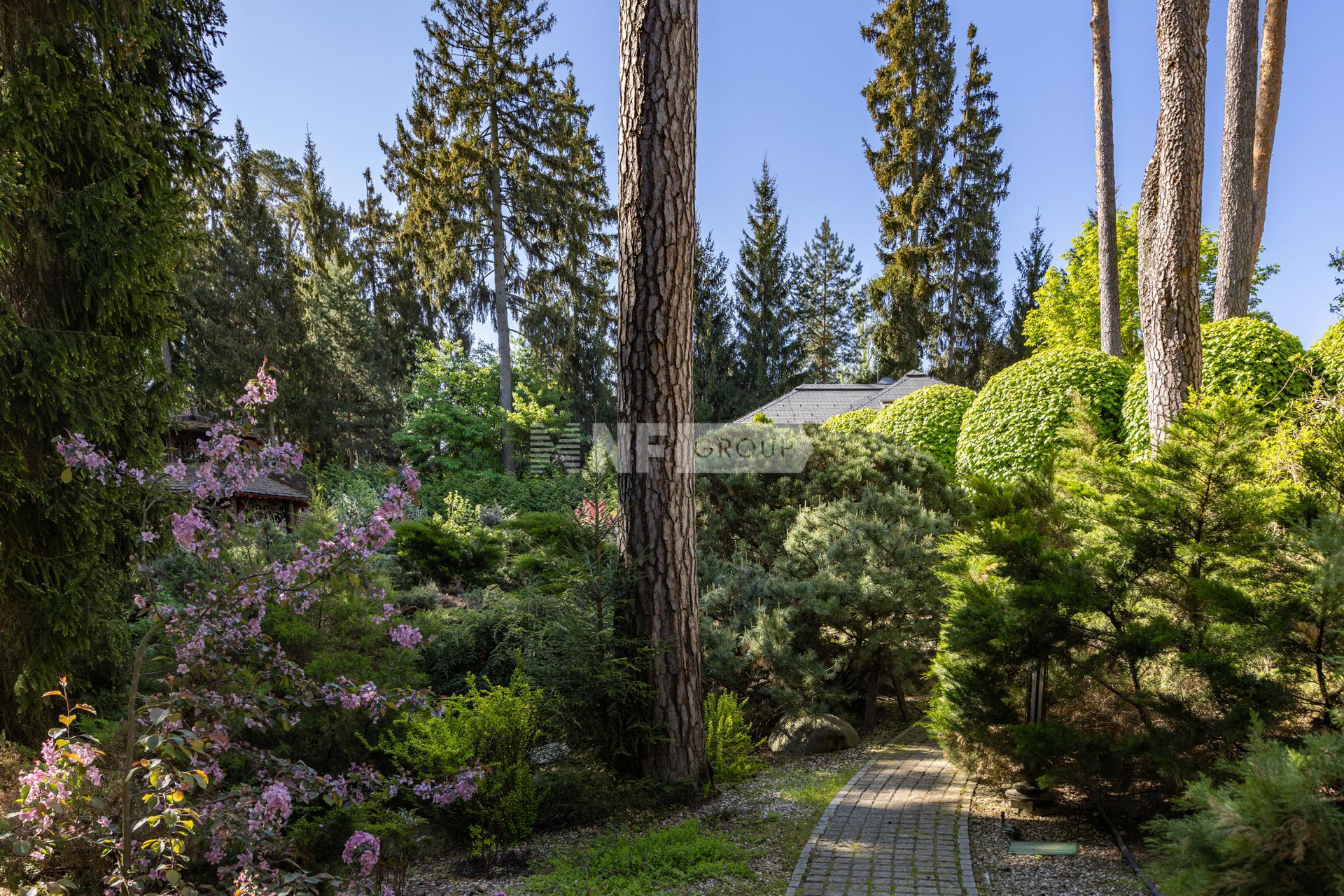 «Николино» (Nikolino)