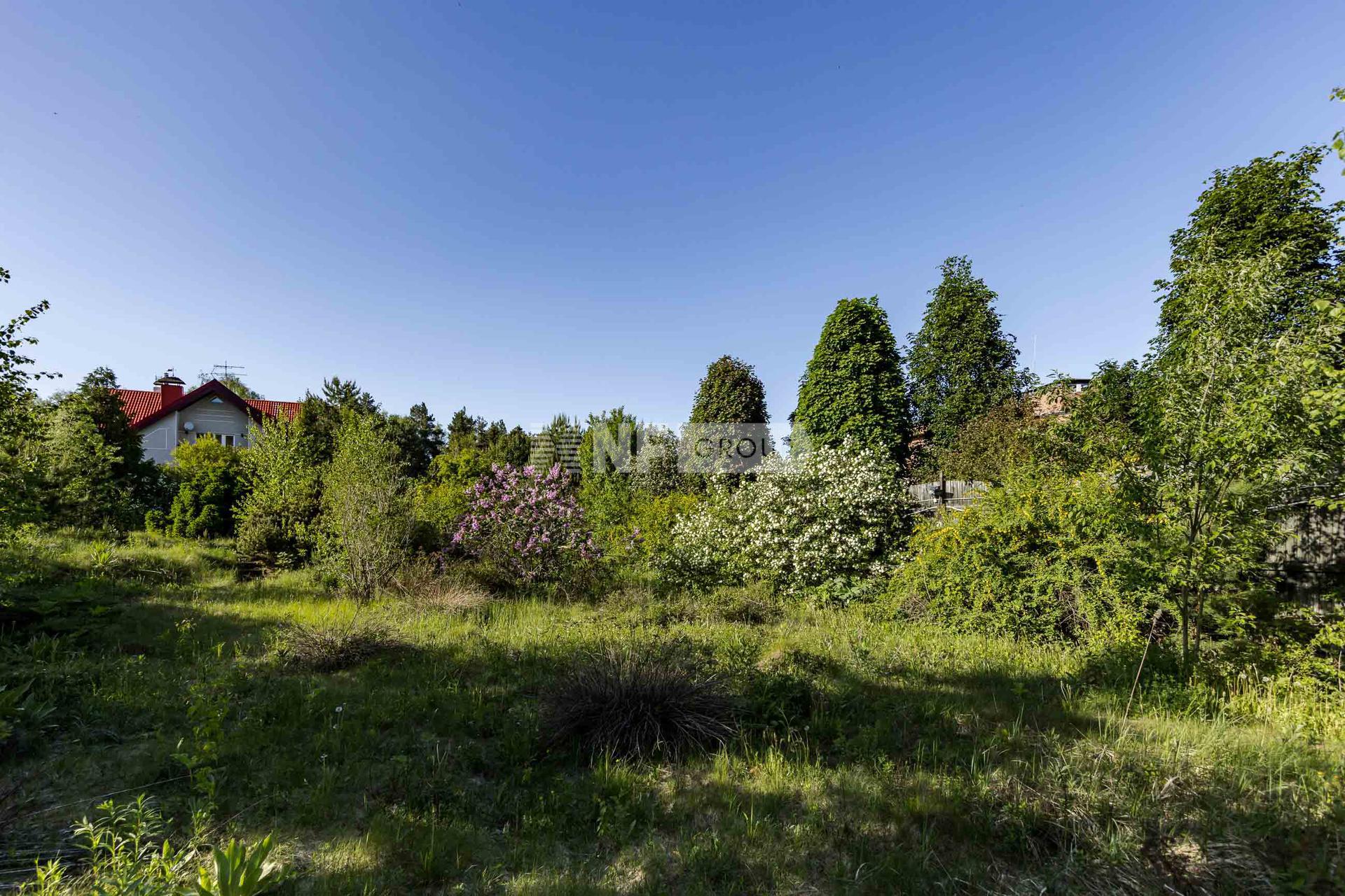 «Белая гора» (Belaya gora)