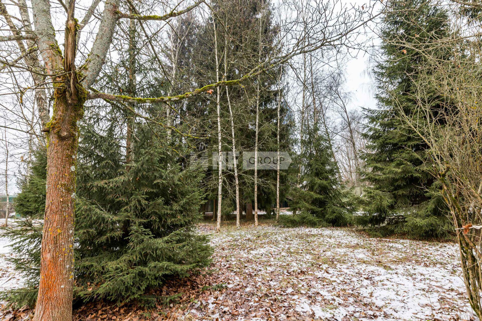 «Таганьково» (Tagankovo)