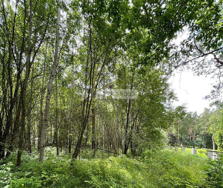 «Саланг» (Salang)