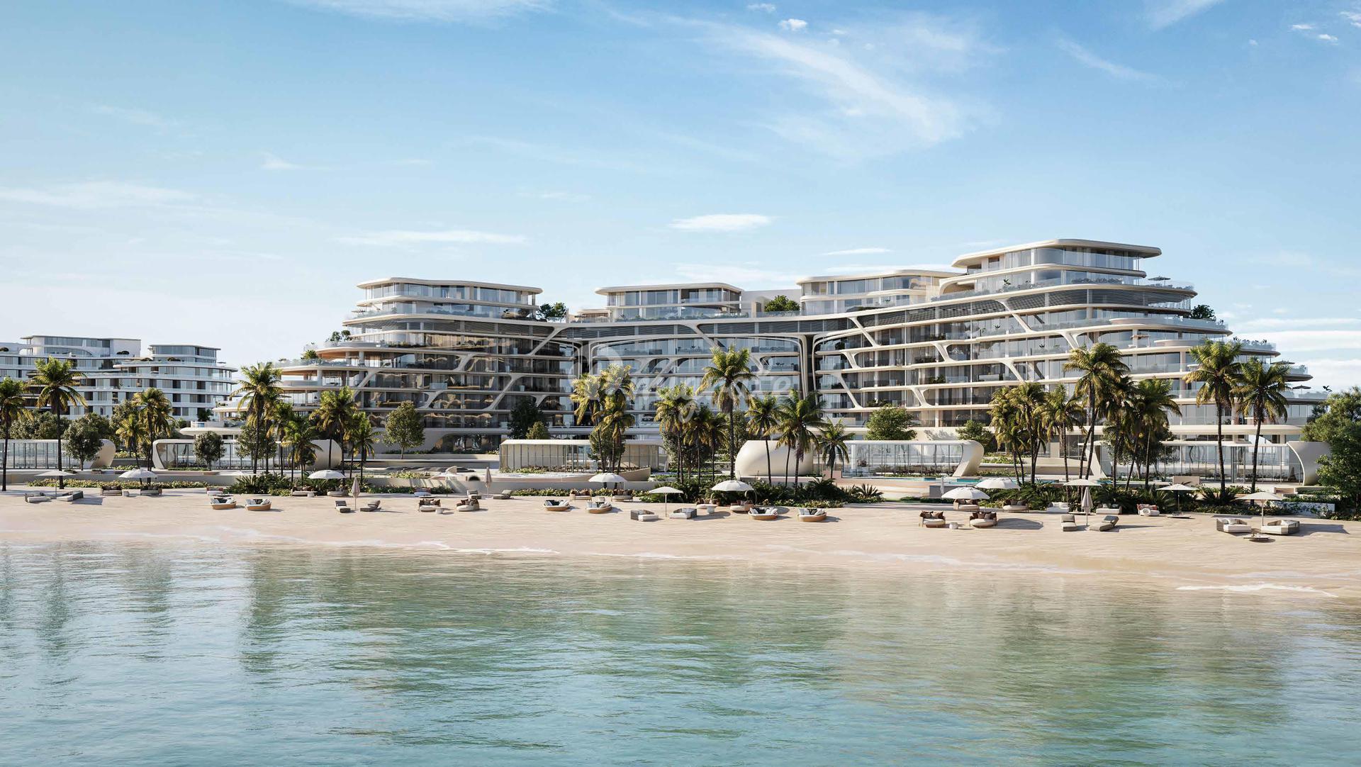 Jacob & Co Beachfront Living by Ohana