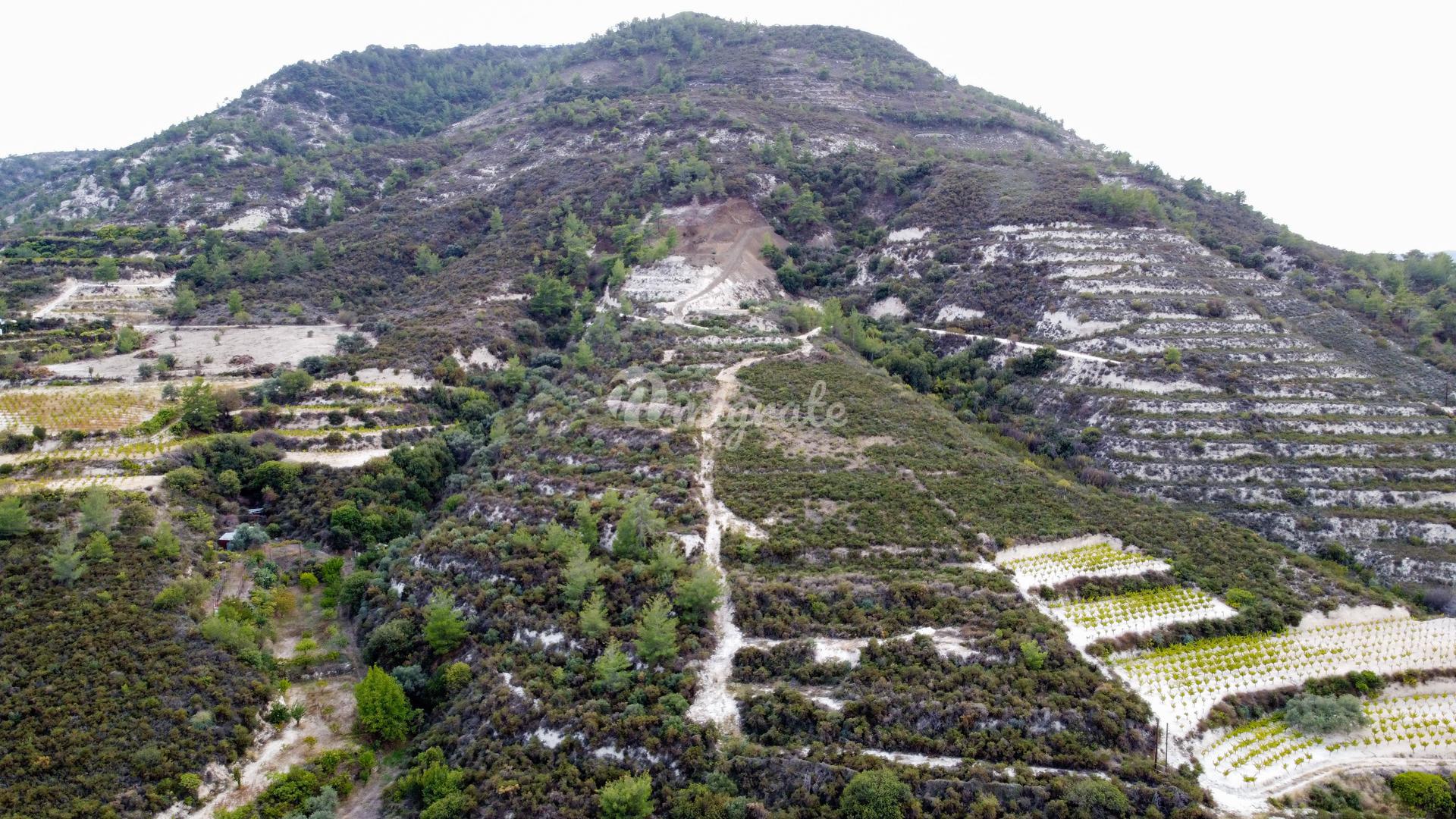 Земельный участок для выращивания винограда в Агия Мамас, Лимассол
 (Argiculture Land In Agia Mamas, Limassol)