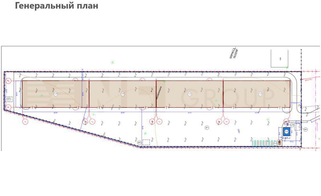 NF Group