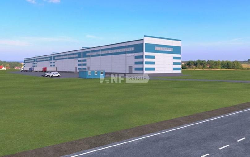 NF Group