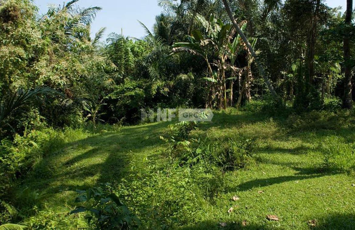 Freehold land with rice field view near Ubud