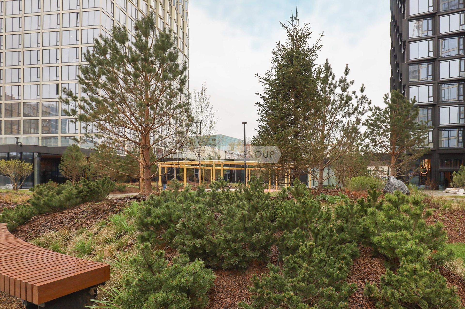 Территория