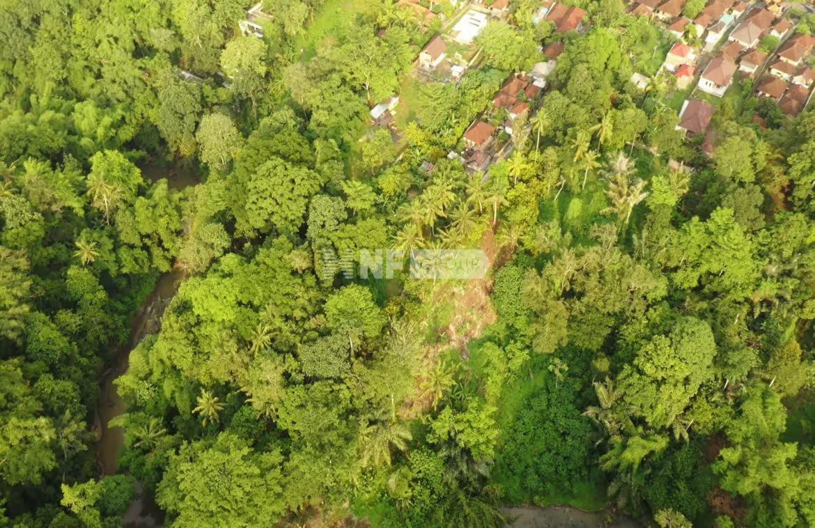 Serene 500sqm Land in Buwit for lease