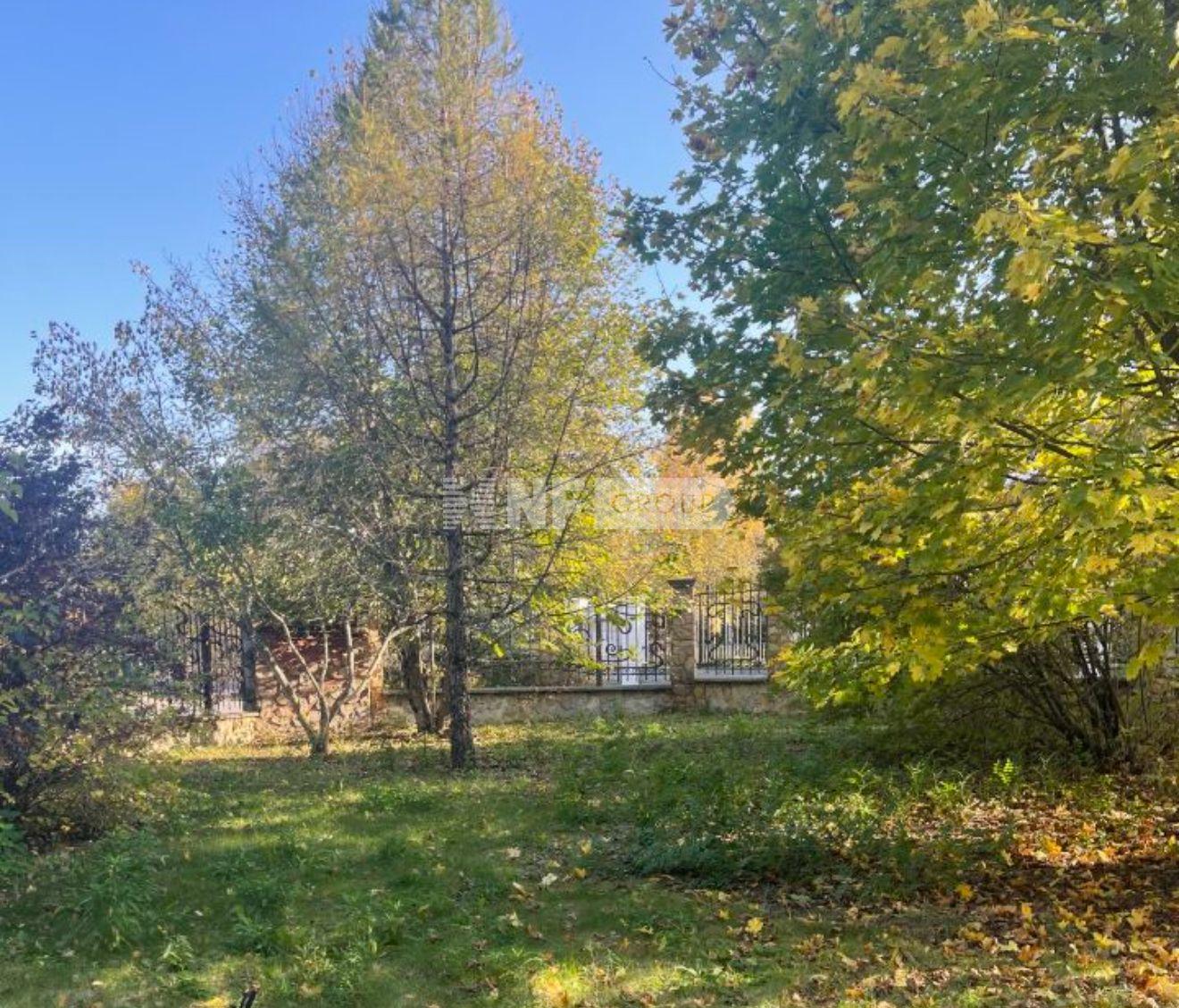 «Успенский лес» (Uspenskiy les)