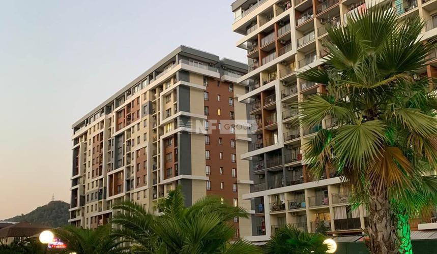 «Каравелла Португалии» (Karavella Portugalii)