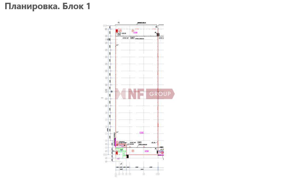 NF Group