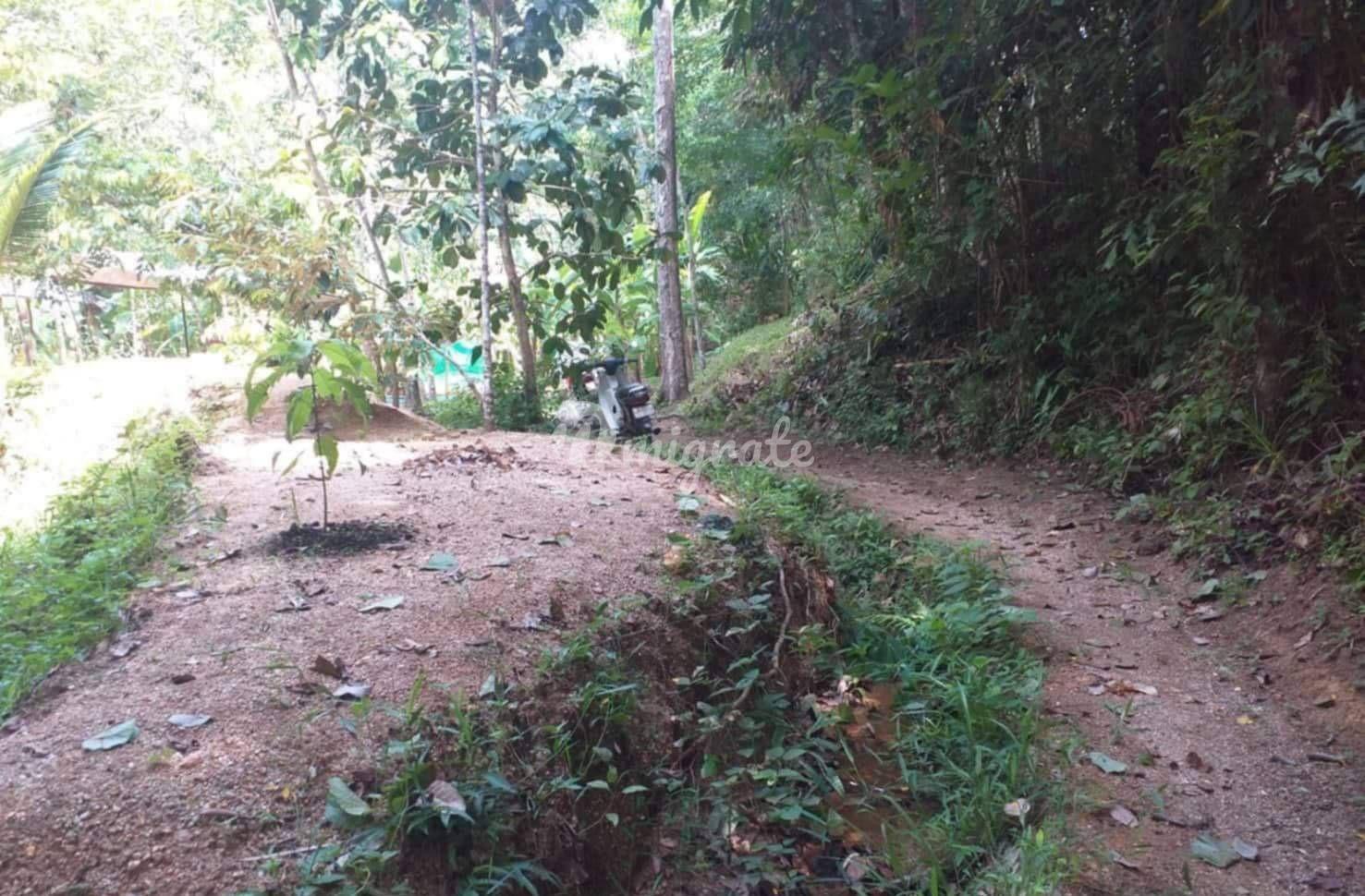 Земельный участок на продажу (Land For Sale in Talang)