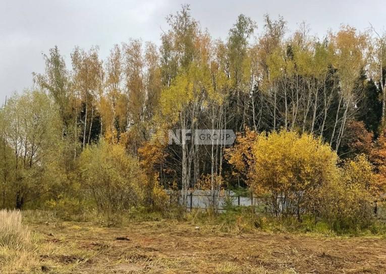 «Лесной простор» (Lesnoy prostor)