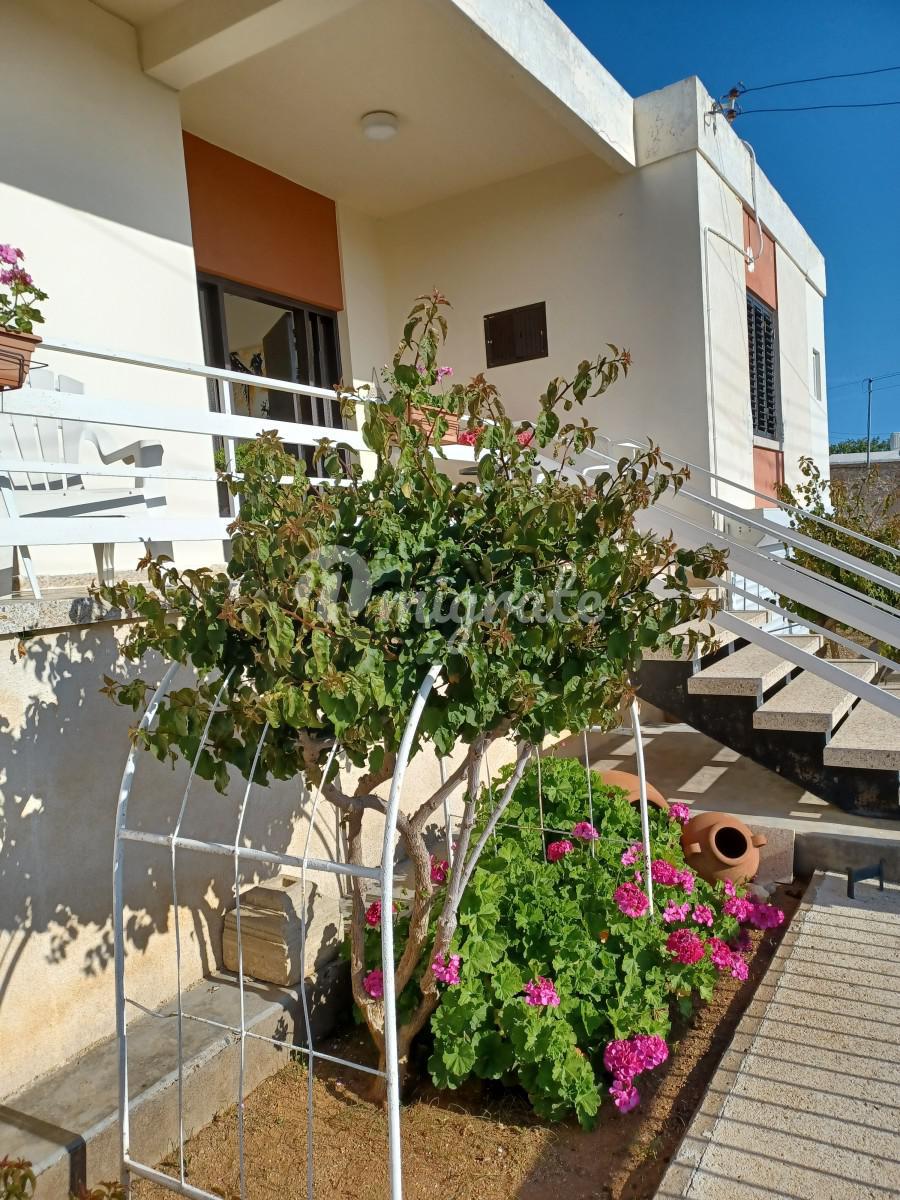 Cyprus, Paphos, Konia