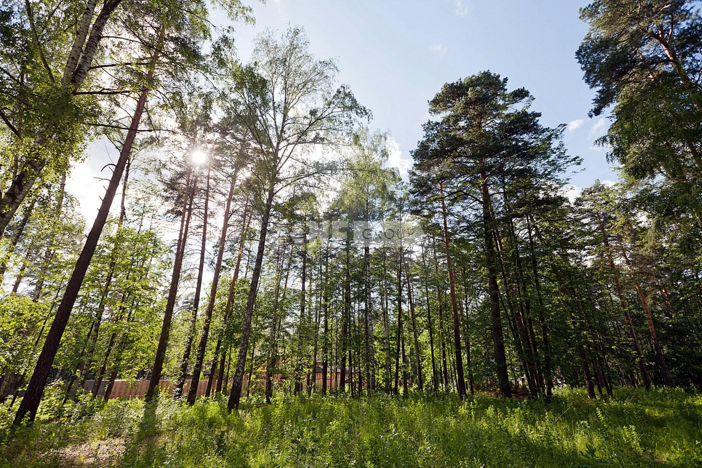 «Резиденции Бенилюкс» (Residentsii Benilyuks)