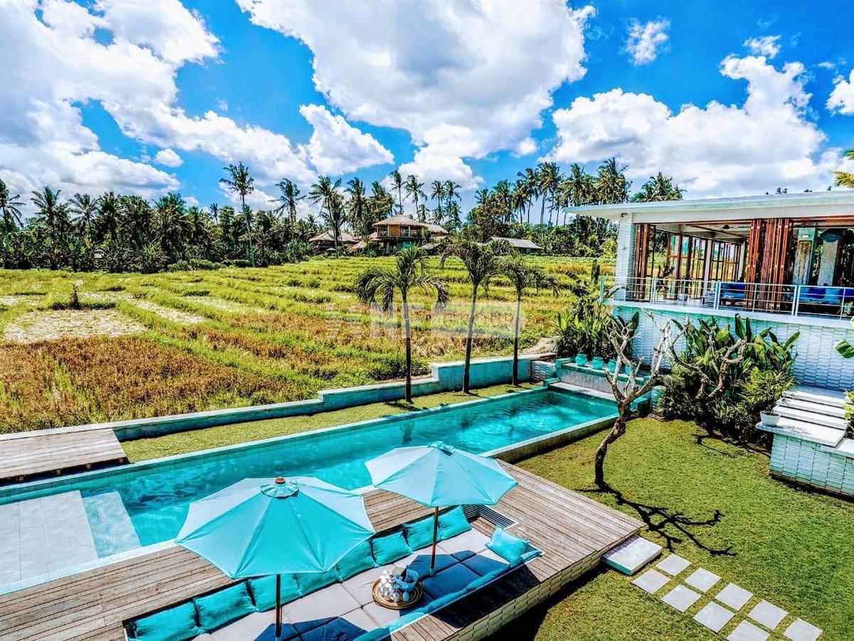 Modern Villa with Ricefield Views for Lease in Kedungu