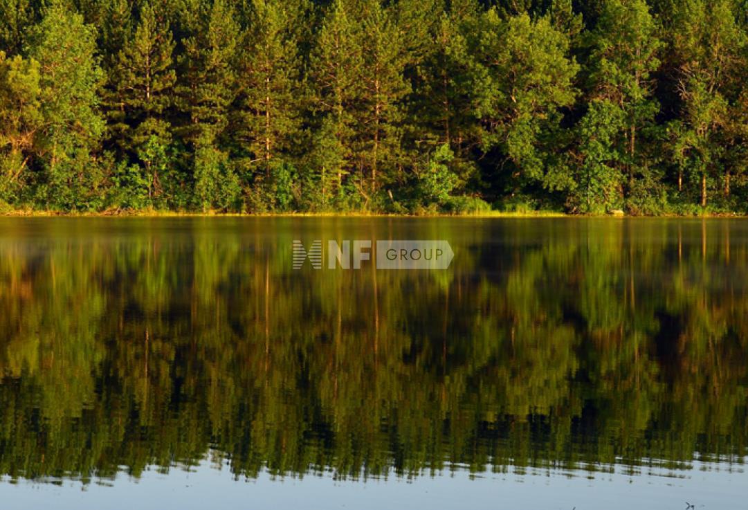 «Поречье ДСК» (Porechye DSK)