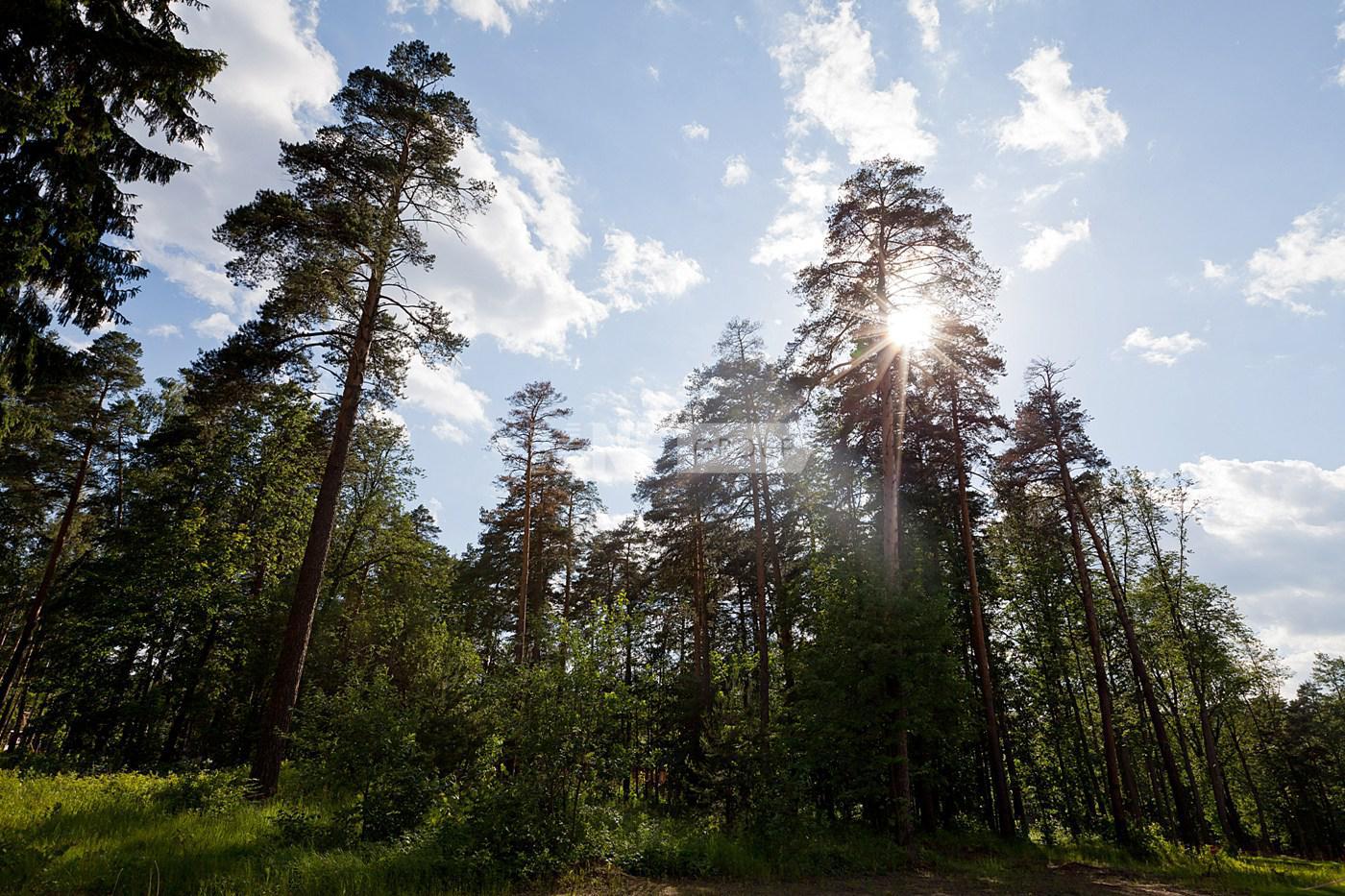 «Коттон Вэй» (Сotton Way)