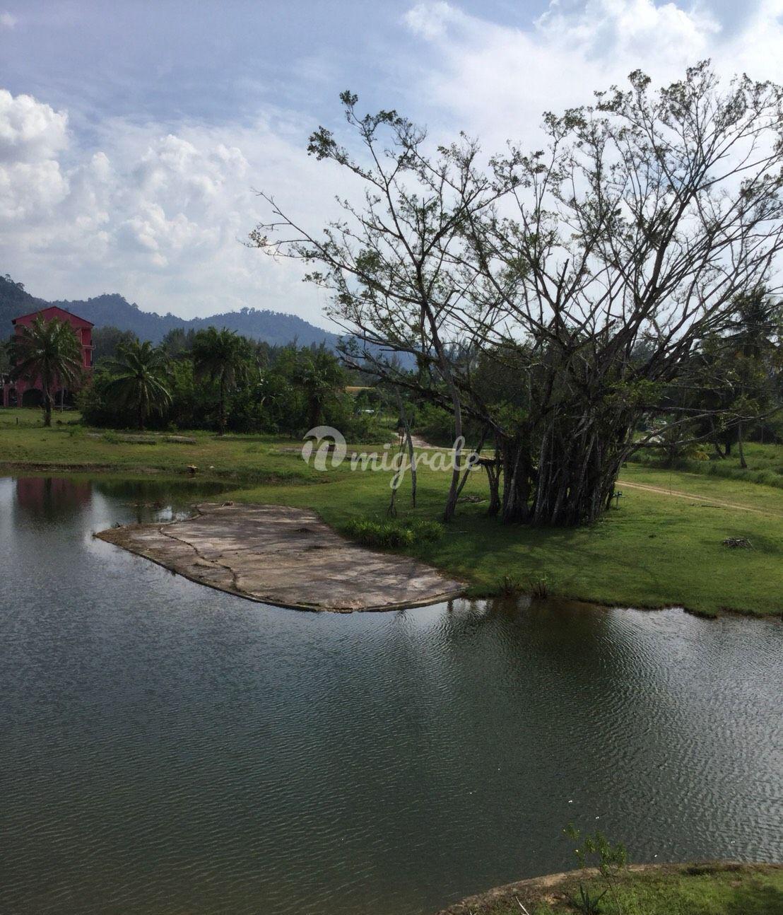 Земельный участок на продажу (27 Rai Land for Sale in the Middle of Bang Niang Market)