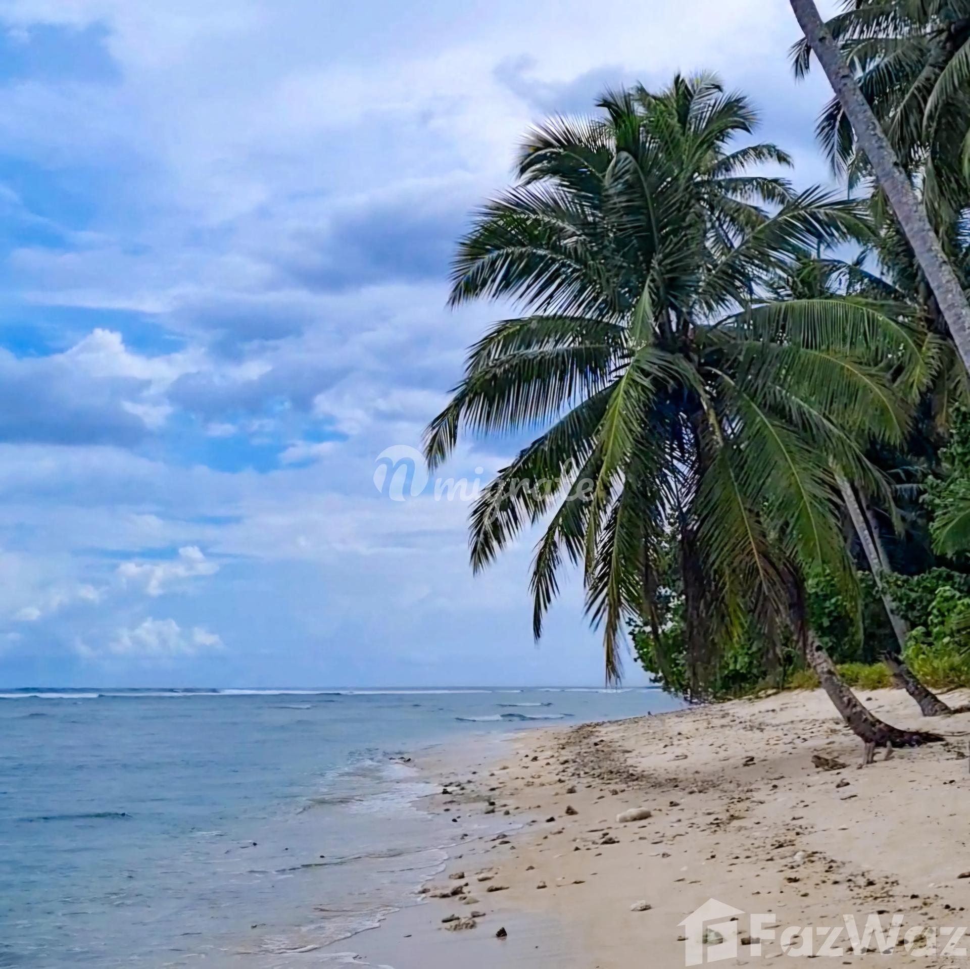 Земельный участок на продажу (Beachfront land at Bintangs wave, Sipora, Mentawais)
