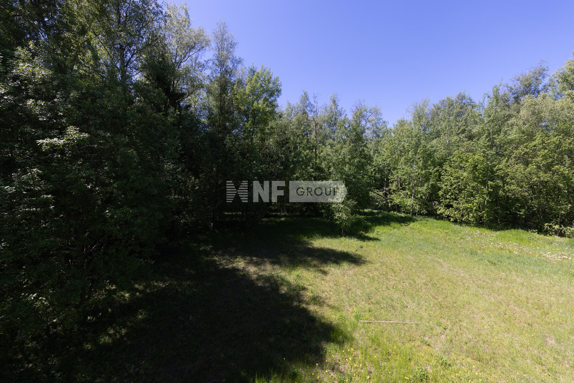 NF Group