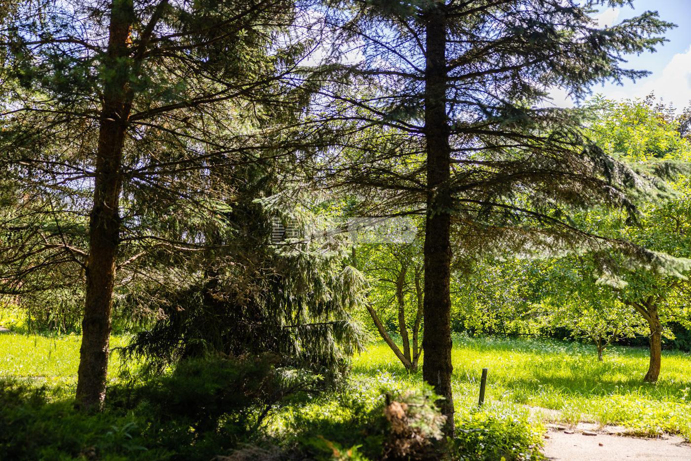 «Кезьмино» (Kezmino)