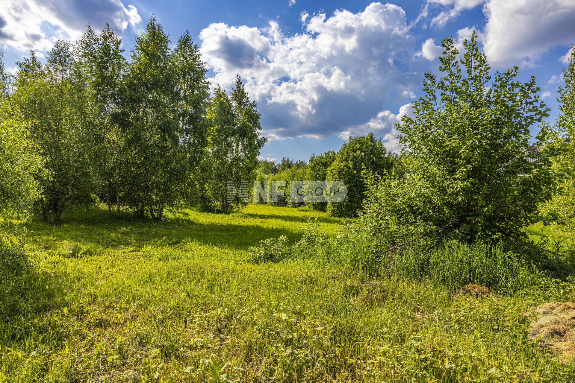 NF Group