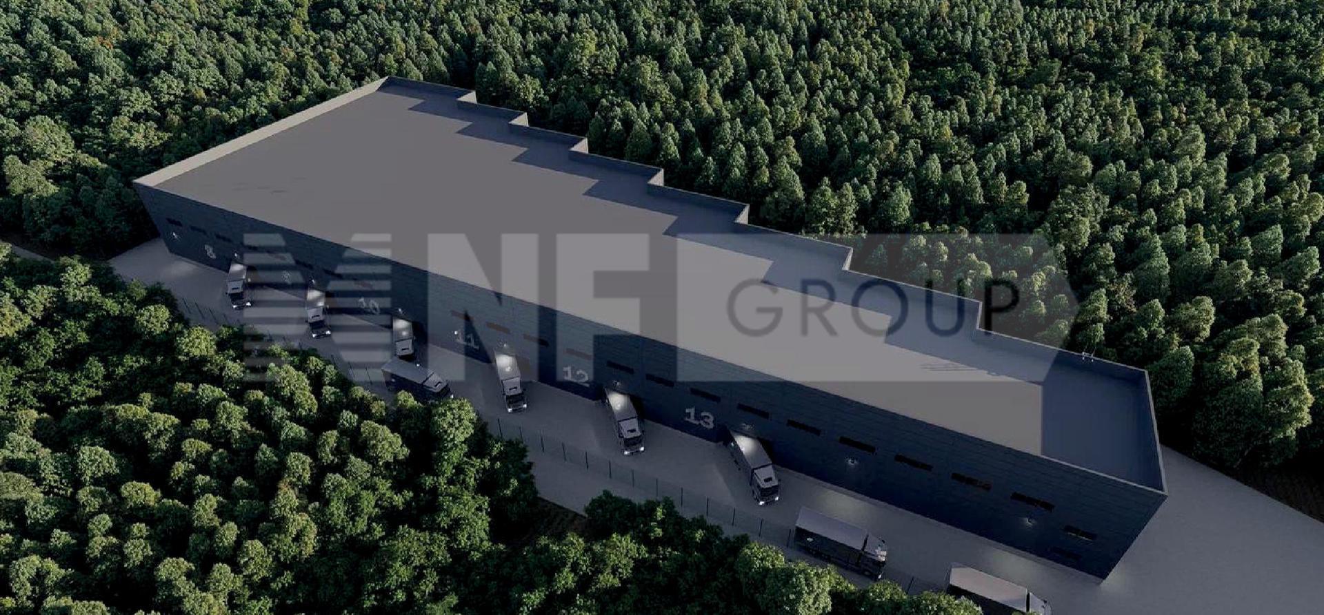 NF Group