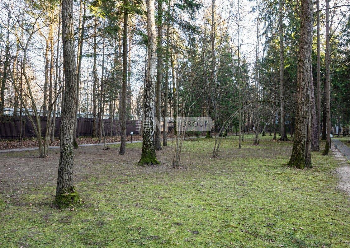 «Лесная Быль» (Lesnaya Byl)