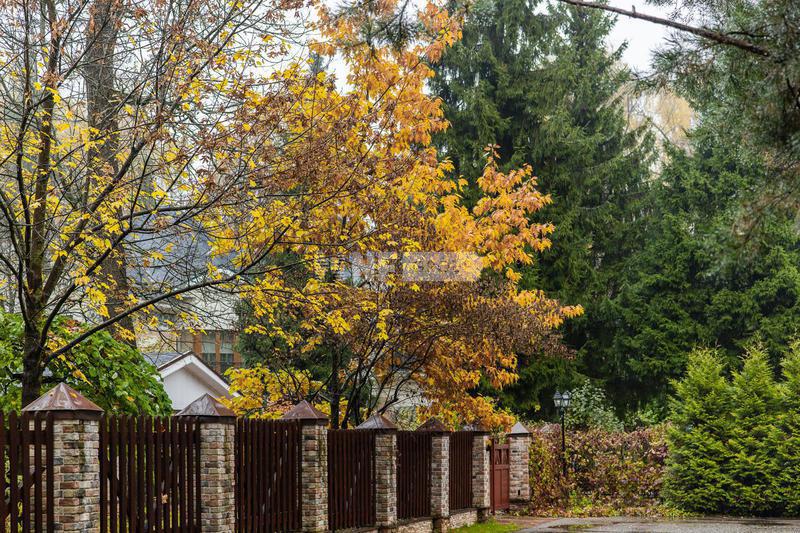 «Лесной простор» (Lesnoy prostor)