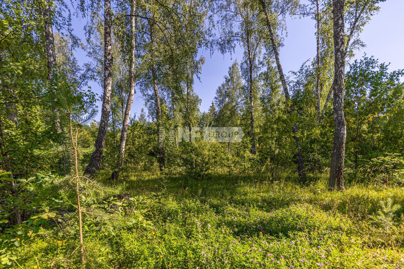 «ДСК Марина» (ДСК Марина)