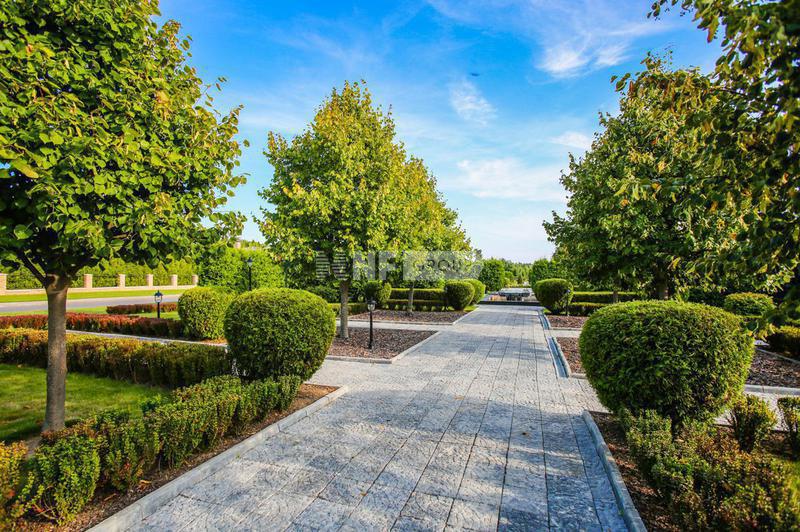 «Графский лес» (Grafskiy les)