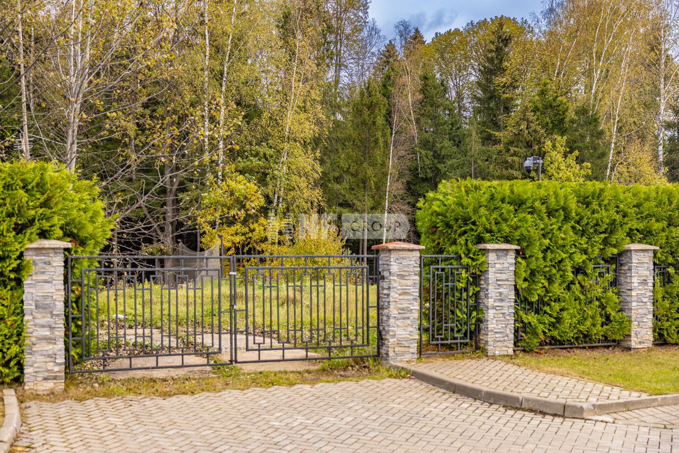 «Графский лес» (Grafskiy les)