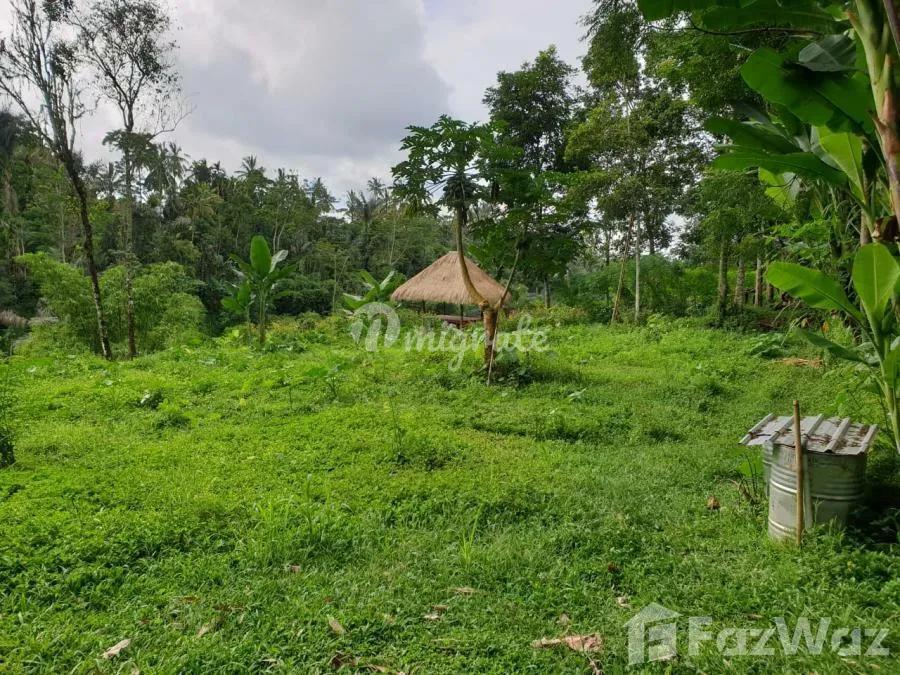 Земельный участок на продажу (Land with the Great View for Sale in Bali)