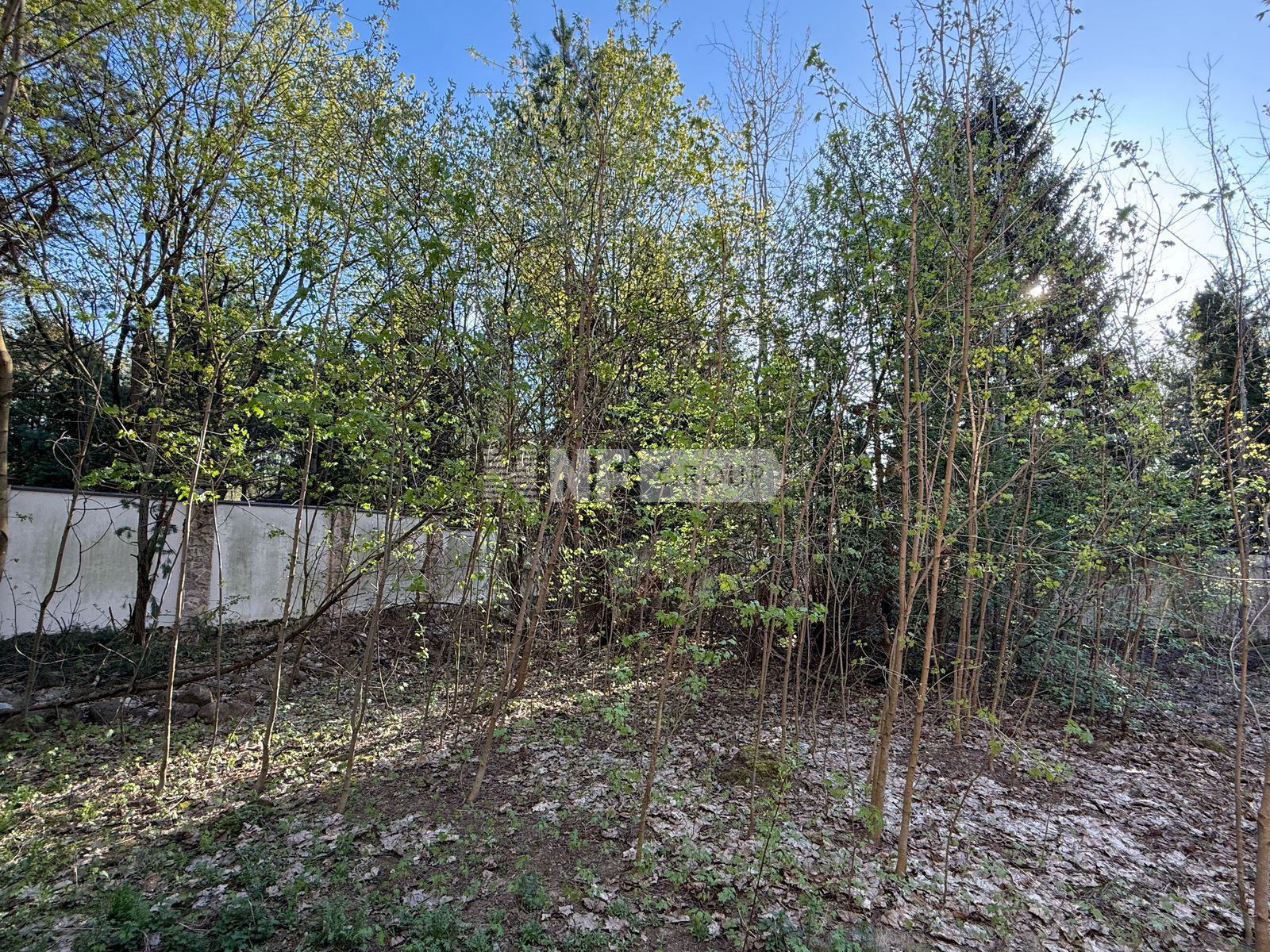 «ДСК Лес Жуковка (Green Apple)» (Green Apple)