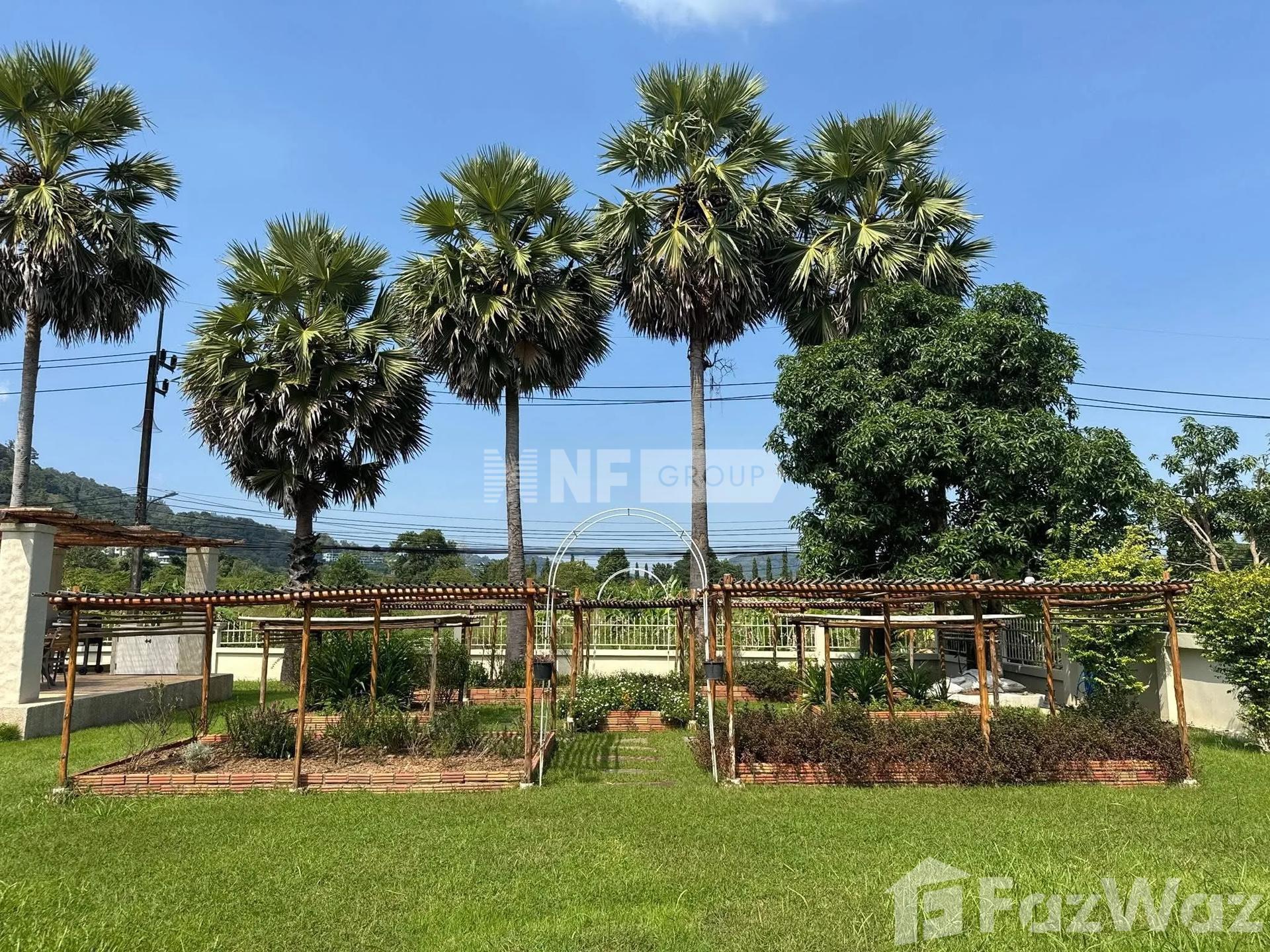 NF Group