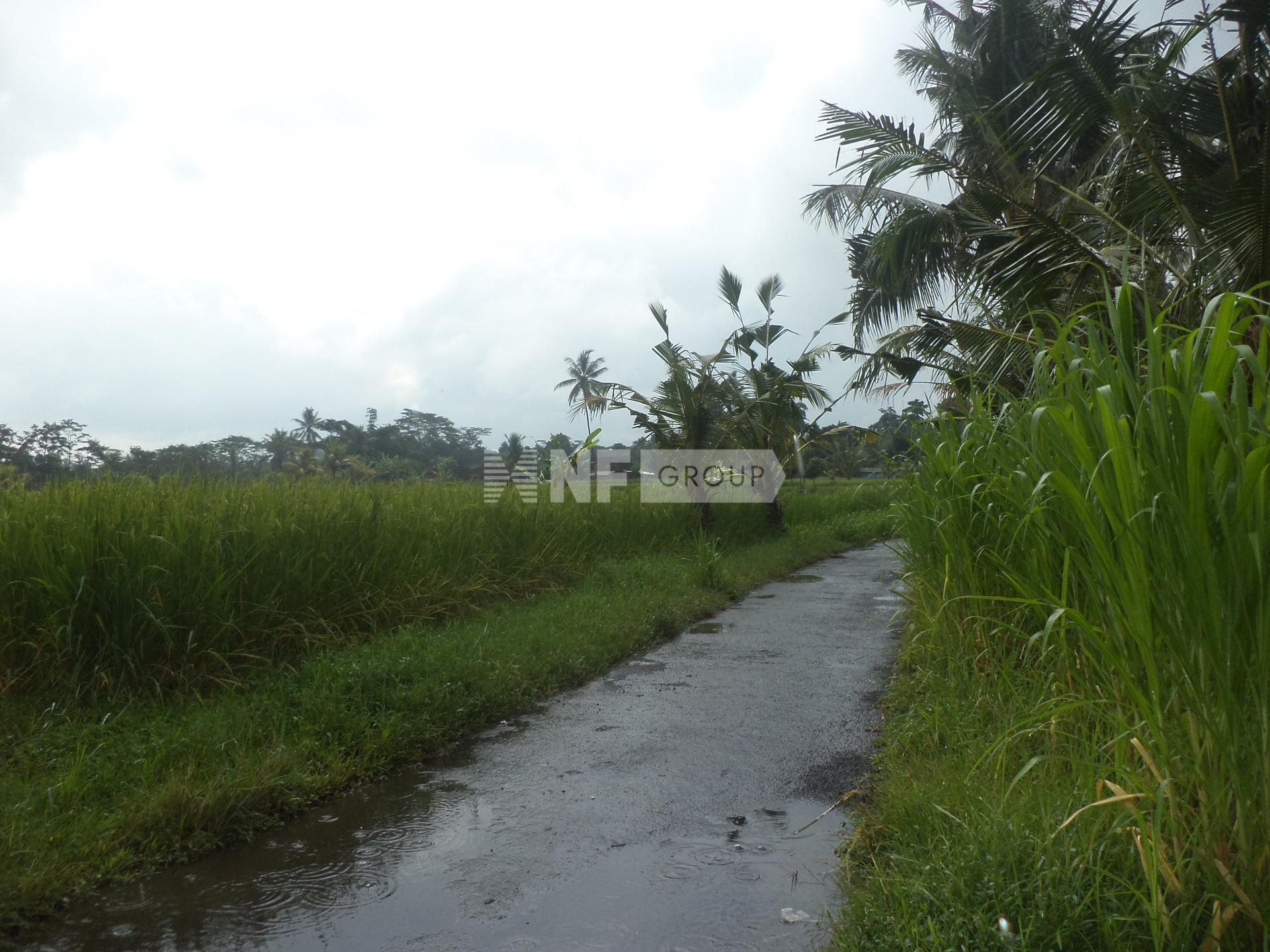 A large stunning plot in Rural Ubud Bali