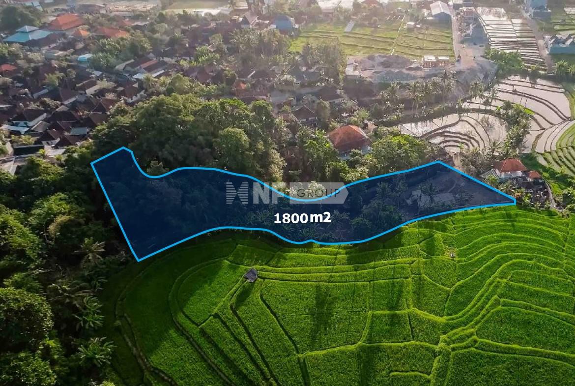 Land Surrounded by Green Belt – Tumbak Bayuh